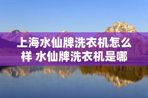 上海水仙牌洗衣机怎么样 水仙牌洗衣机是哪家公司的