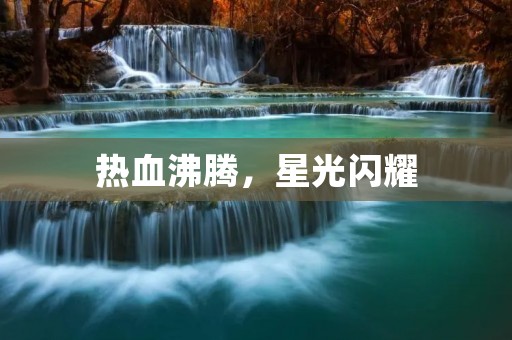 热血沸腾，星光闪耀：追逐梦想的青春之旅