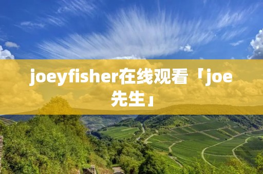 joeyfisher在线观看「joe先生」