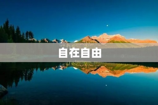 自在自由:追寻内心自由的美妙旅程 自在自由:追寻内心自由的美妙旅程