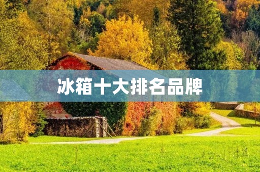 冰箱十大排名品牌：为您揭示家电市场的佼佼者