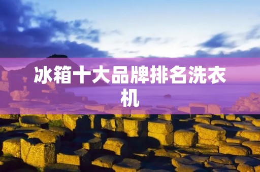 冰箱十大品牌排名洗衣机：如何选择最适合你家的品牌？