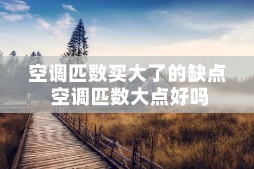空调匹数买大了的缺点 空调匹数大点好吗