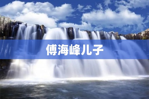 傅海峰儿子：成长与责任