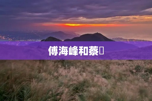 傅海峰和蔡赟：中国乒乓球双雄的传奇之路
