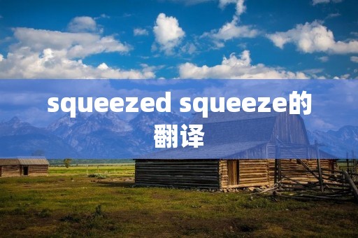 squeezed squeeze的翻译