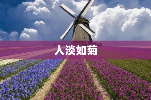 人淡如菊：淡泊名利，静心修行