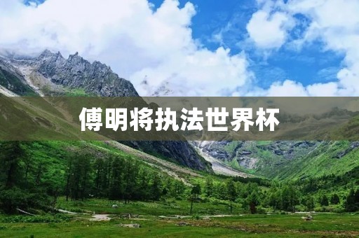 傅明将执法世界杯：中国裁判员的崛起与挑战