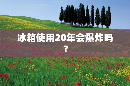 冰箱使用20年会爆炸吗? 冰箱使用20年会爆炸吗?