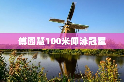 傅园慧100米仰泳冠军：她的破纪录之路