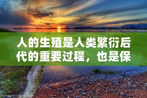 人的生殖是人类繁衍后代的重要过程，也是保持人类种群的关键环节。在人类的生殖过程中，男性和女性的独特生殖器官发挥着重要的作用。本文将从男性和女性的生殖器官结构、生殖细胞的形成与发育、受精过程、妊娠过程以及生殖相关的健康问题等方面进行详细描述。