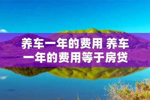 养车一年的费用 养车一年的费用等于房贷