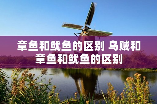 章鱼和鱿鱼的区别 乌贼和章鱼和鱿鱼的区别