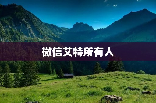 微信艾特所有人:打破沟通壁垒,实现高效交流