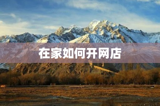 在家如何开网店:从零起步,实现财富梦想