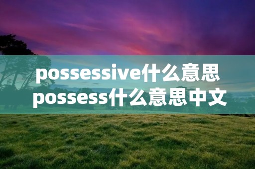 possessive什么意思 possess什么意思中文