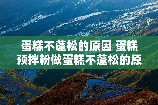 蛋糕不蓬松的原因 蛋糕预拌粉做蛋糕不蓬松的原因