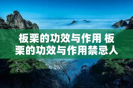 板栗的功效与作用 板栗的功效与作用禁忌人群