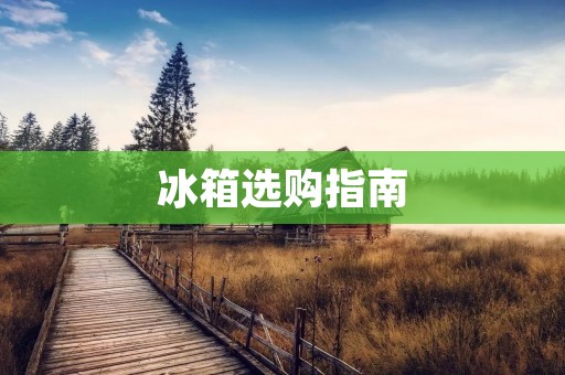 冰箱选购指南:海尔和美的,哪个更好? 冰箱选购指南:海尔和美的,哪个更好?