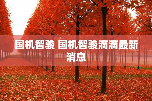 国机智骏 国机智骏滴滴最新消息