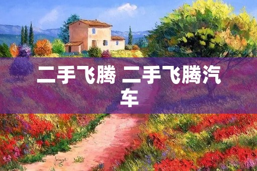 二手飞腾 二手飞腾汽车