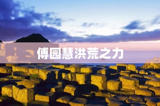 傅园慧洪荒之力:坚毅与奋斗的代名词 傅园慧洪荒之力:坚毅与奋斗的代名词