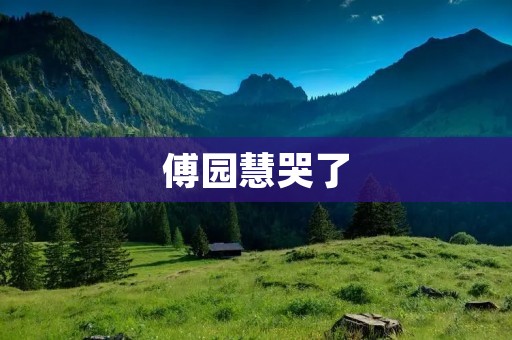 傅园慧哭了:一个微笑背后的坚强女孩 傅园慧哭了:一个微笑背后的坚强女孩