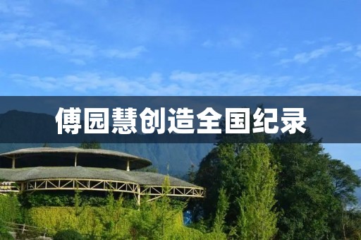 傅园慧创造全国纪录：中国游泳新星展现无限潜力
