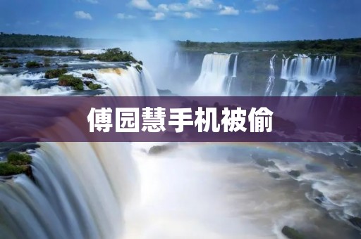 傅园慧手机被偷:一位奥运冠军的财产丢失引发的思考 傅园慧手机被偷:一位奥运冠军的财产丢失引发的思考