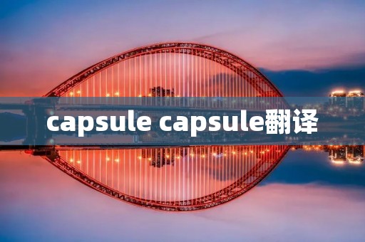 capsule capsule翻译