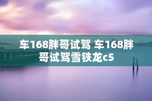 车168胖哥试驾 车168胖哥试驾雪铁龙c5 车168胖哥试驾 车168胖哥试驾雪铁龙c5