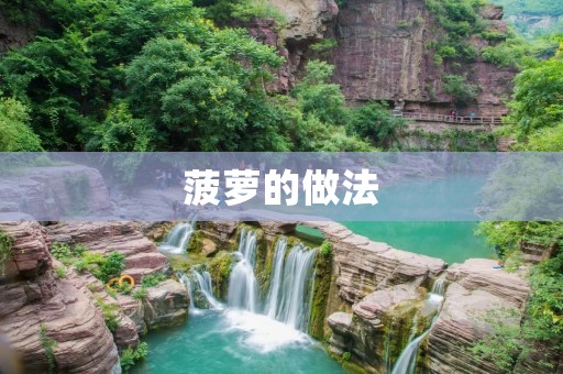 菠萝的做法：美味清爽的烹饪指南