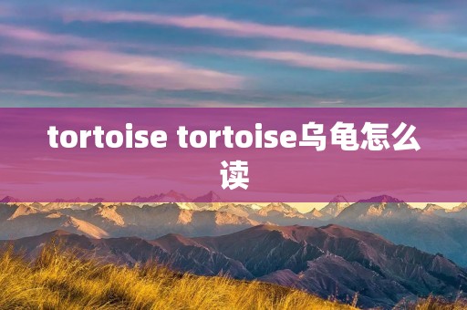 tortoise tortoise乌龟怎么读
