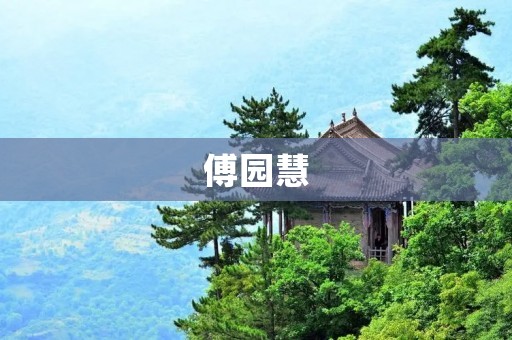 傅园慧：自信与坚持的跨界女神