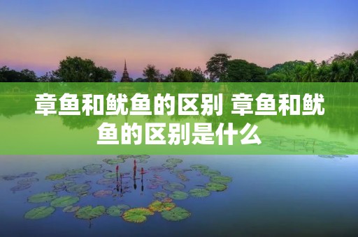 章鱼和鱿鱼的区别 章鱼和鱿鱼的区别是什么