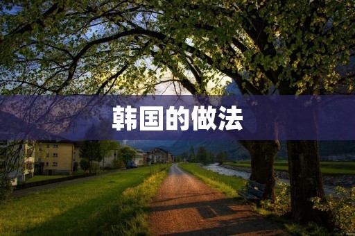 韩国的做法：探索创新之路