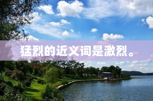 猛烈的近义词是激烈。