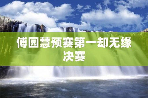 傅园慧预赛第一却无缘决赛
