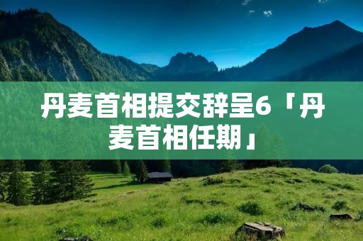 丹麦首相提交辞呈6「丹麦首相任期」