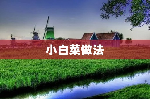 小白菜做法：清爽可口的小白菜炒肉