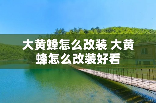 大黄蜂怎么改装 大黄蜂怎么改装好看
