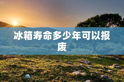 冰箱寿命多少年可以报废