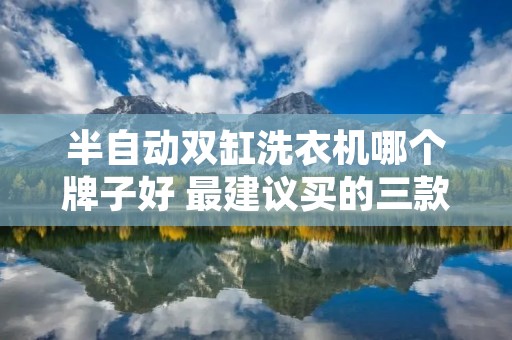 半自动双缸洗衣机哪个牌子好 最建议买的三款洗衣机