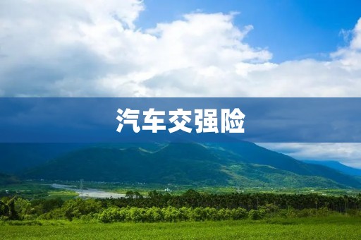 汽车交强险:保障您的行车安全 汽车交强险:保障您的行车安全