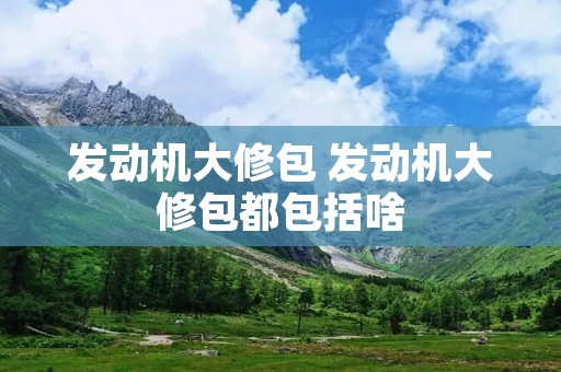 发动机大修包 发动机大修包都包括啥 发动机大修包 发动机大修包都包括啥
