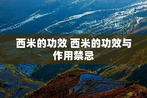 西米的功效 西米的功效与作用禁忌