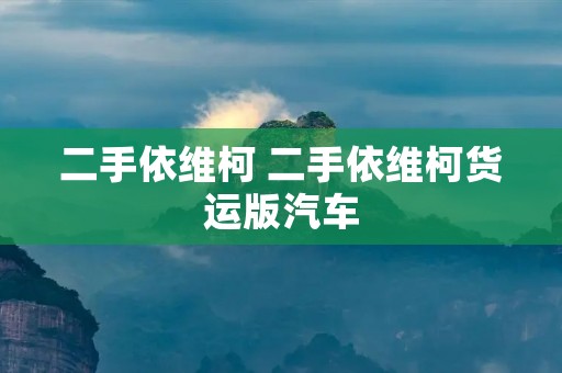 二手依维柯 二手依维柯货运版汽车 二手依维柯 二手依维柯货运版汽车
