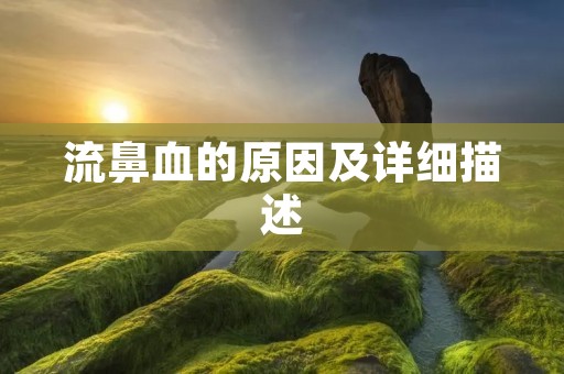 流鼻血的原因及详细描述