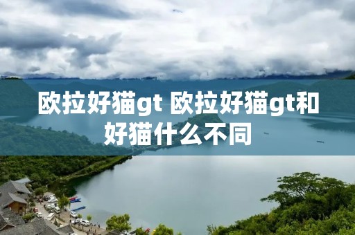 欧拉好猫gt 欧拉好猫gt和好猫什么不同