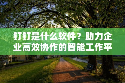 钉钉是什么软件?助力企业高效协作的智能工作平台